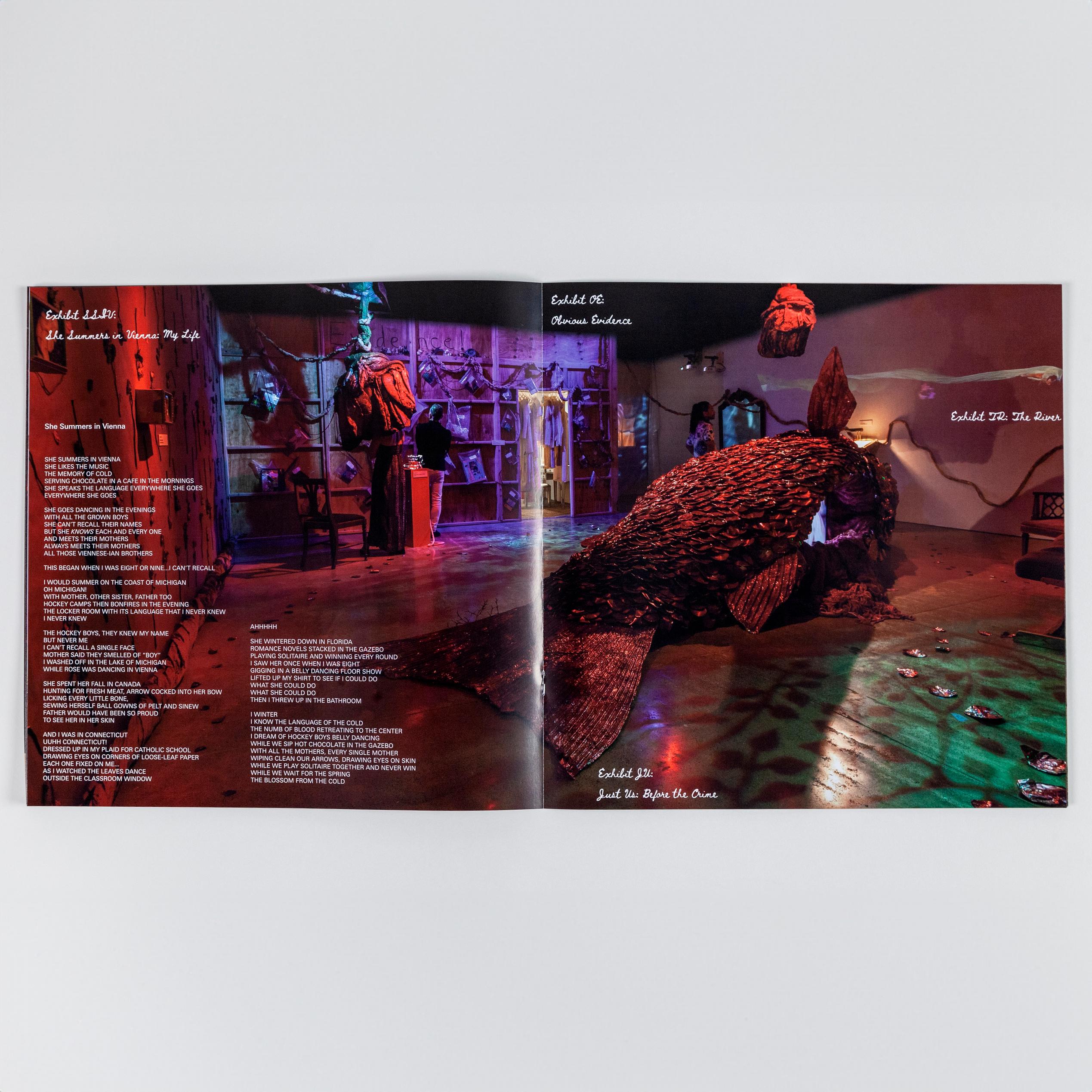 A photo of a spread of a book. There is a single photograph spanning both pages. The photograph is an installation view of "John Jarboe: The Rose Garden" and in the center of the dimly lit room is a large sculptural fish. On the left page there are lyrics to one of the songs on the record.