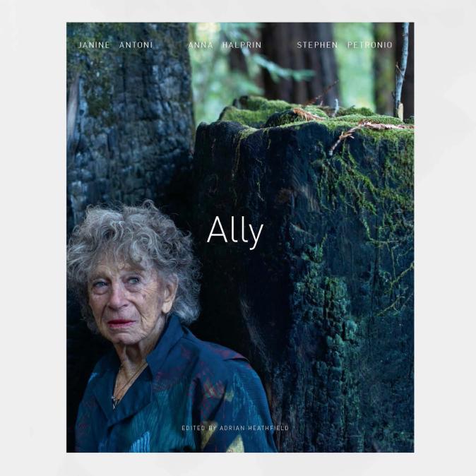An image of a book cover featuring a gray-haired woman in the woods standing in front of a tall, dark, mossy, stump. The stump is taller than the woman.