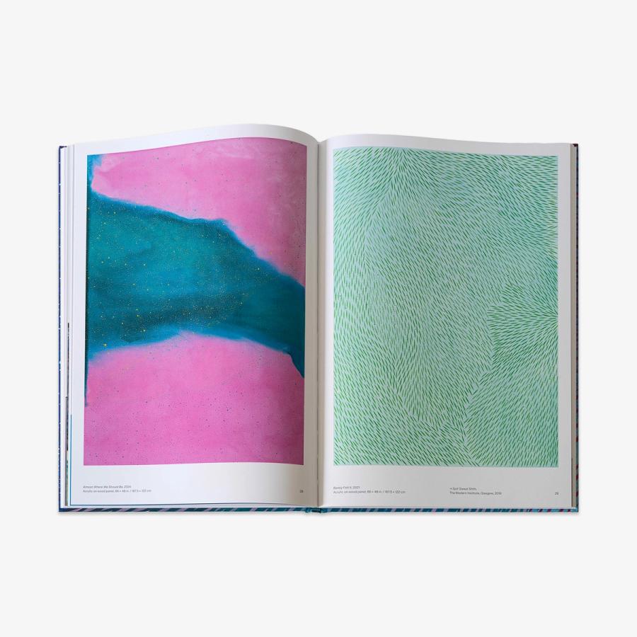 An open hardback book displaying two abstract paintings—on the left, a pink and blue composition with fine specks of yellow; on the right, a mint-colored field filled with clusters of fine green lines.