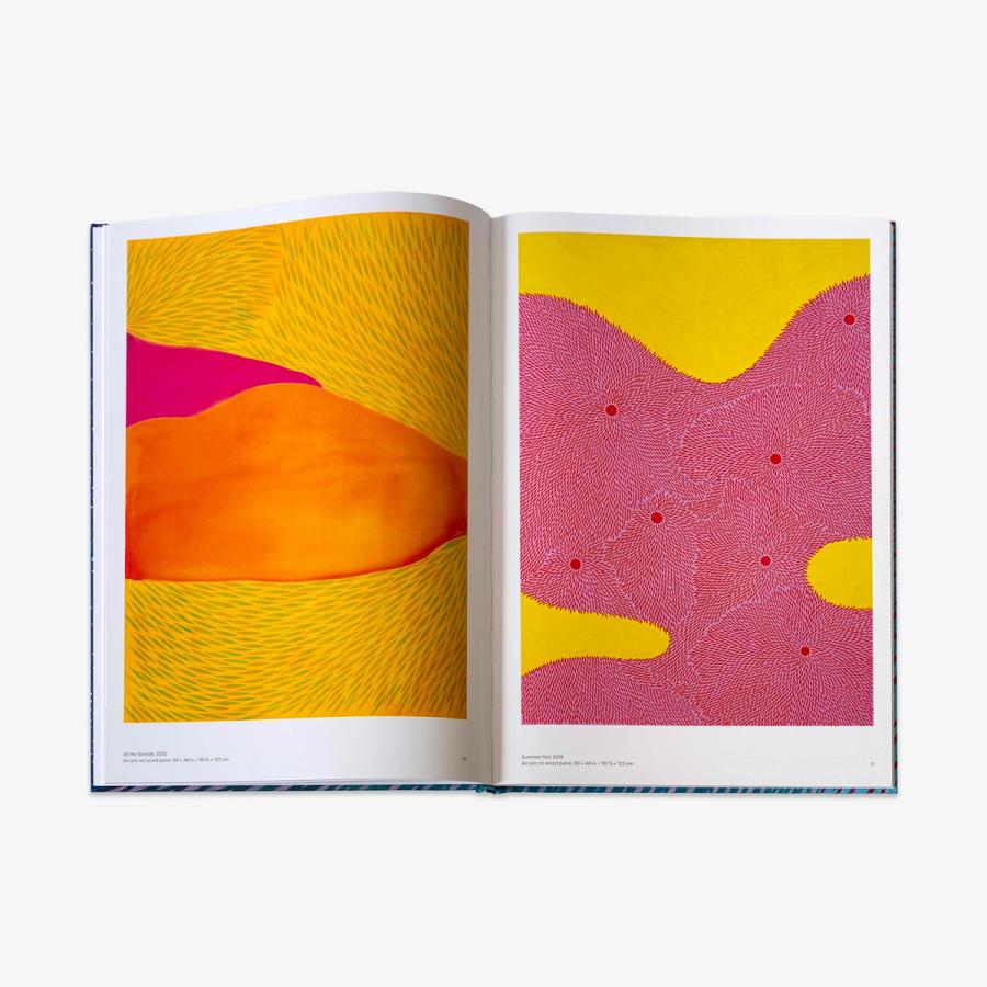 An open hardback book displaying two abstract paintings—on the left, a pink, orange and yellow composition with fine diagonal strokes of green and brown; on the right, solid yellow surrounding an organic pink field filled with radiating clusters of fine red lines.