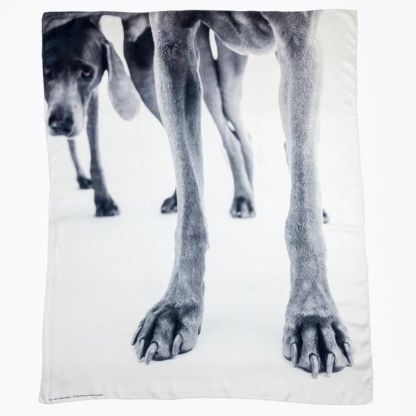 An image of the silk scarf against a white backdrop. The design is in greyscale and shows the legs of a Weimaraner in the foreground, with a second dog in the background lowering its head to peek at the camera.