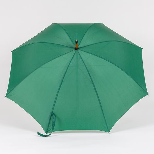 A photograph of the top of a green, slightly sheer umbrella