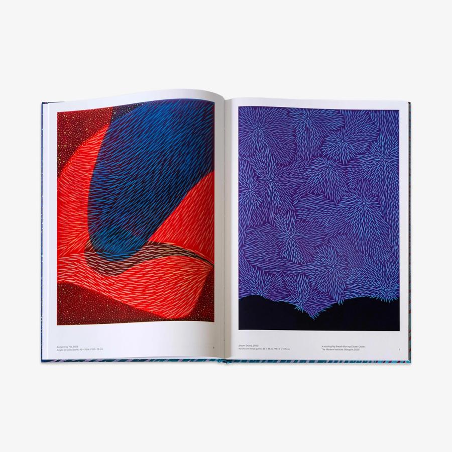 An open hardback book displaying two abstract paintings—on the left, a red and blue composition with fine diagonal strokes of blue; on the right, a purple field filled with radiating clusters of fine blue lines.