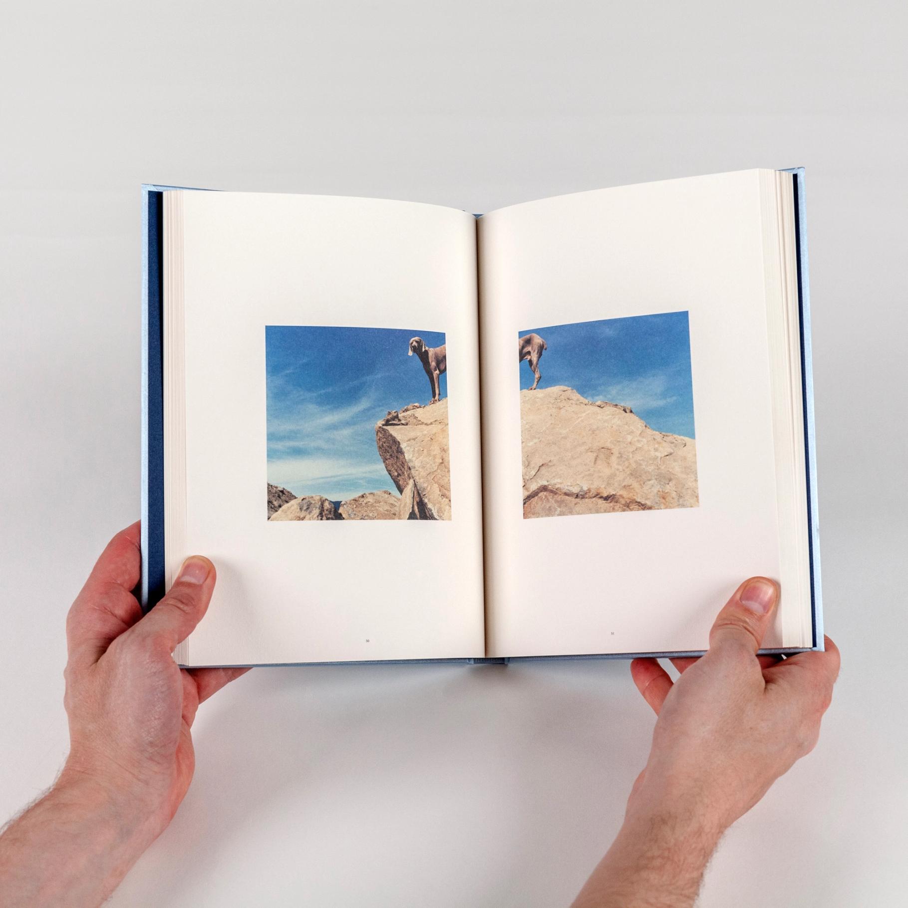 Two hands hold a book open. Two square photographs lie at the center of each page, creating the effect of a spread. Together, the images feature a large brown dog atop a boulder, looking at the camera with a blue sky behind it.