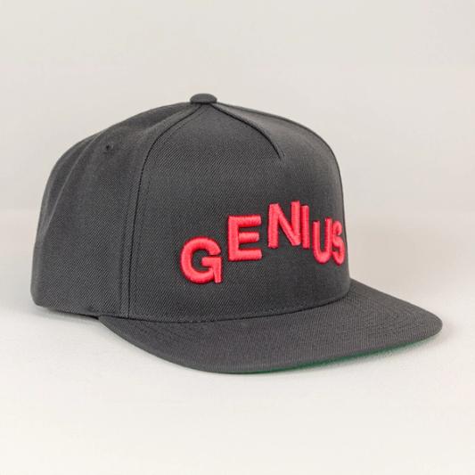 A photograph of a dark grey baseball hat with the words GENIUS spelled out in red embroidery. The cap is at a diagonal with the bill slightly to the right.