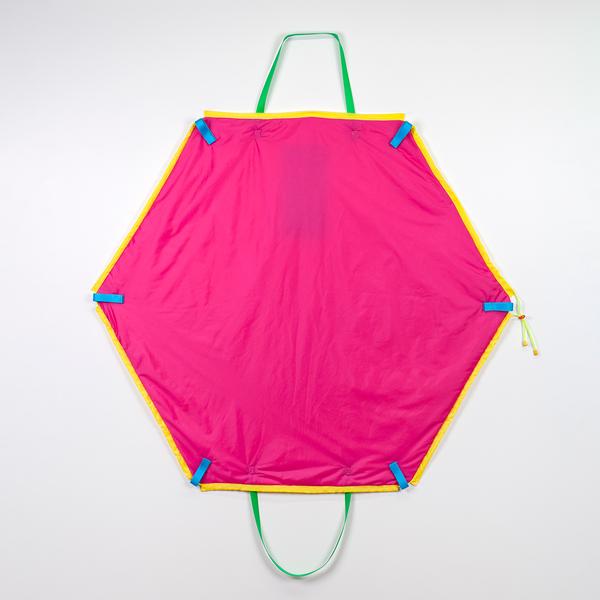 A hexagonally-shaped magenta bag hangs on a wall. It features two green straps at the top and bottom and blue tabs on its corners. The bag is outlined in yellow nylon.