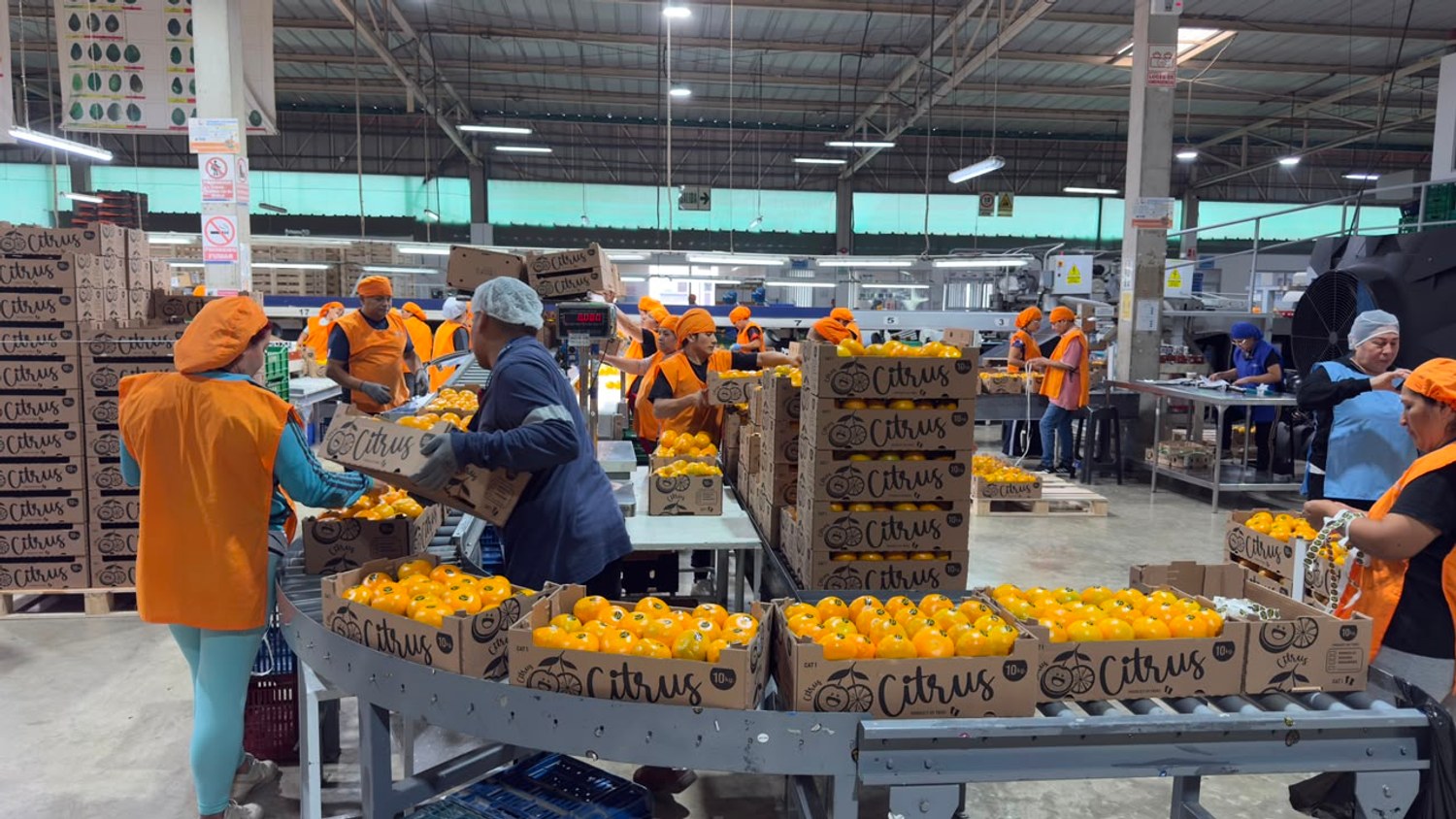 proceso de empaque