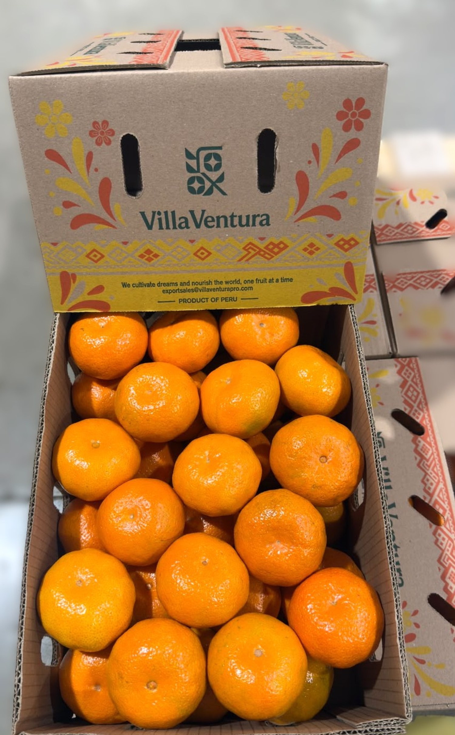 Mandarina Malvasio
