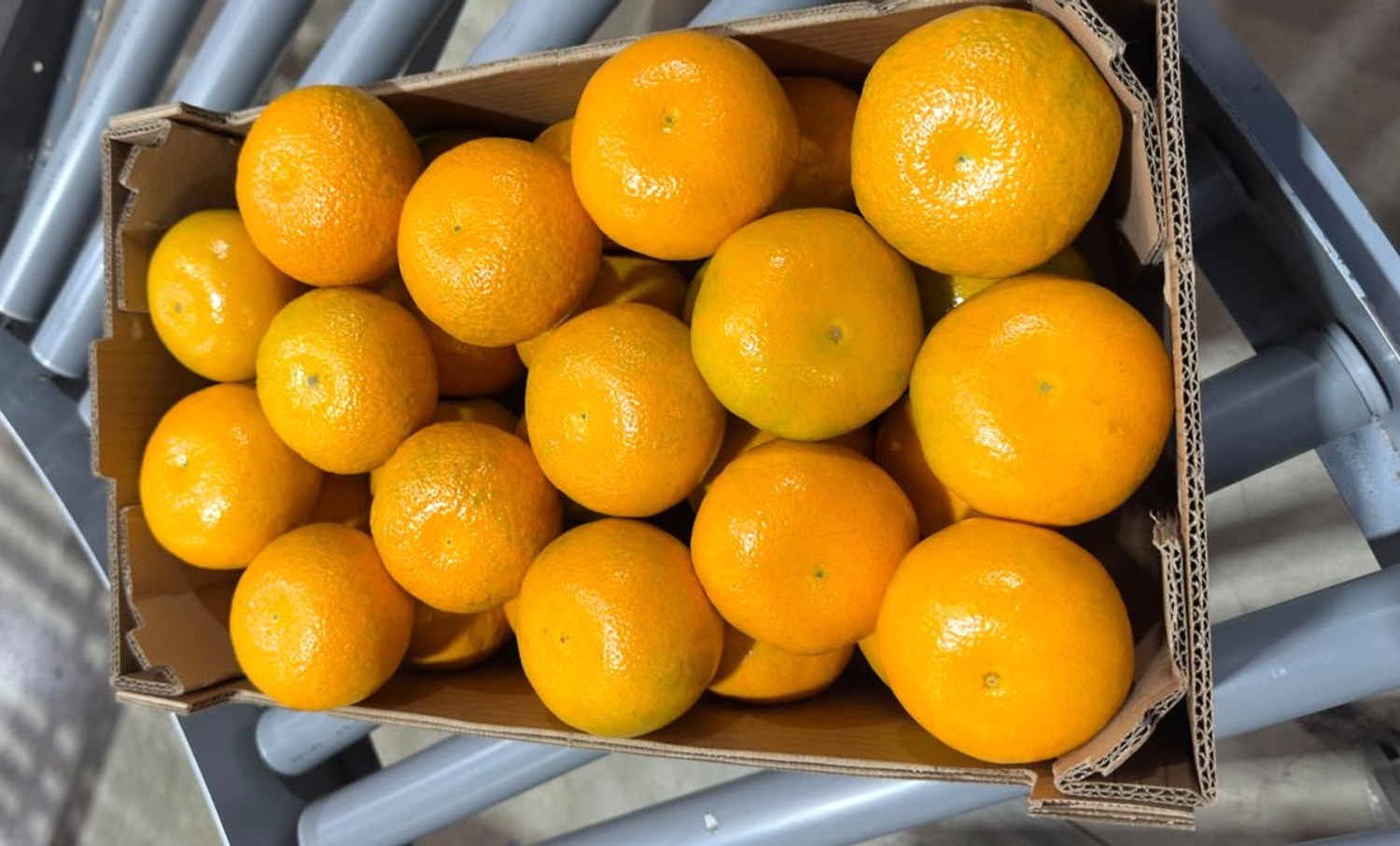 empaque de fruta