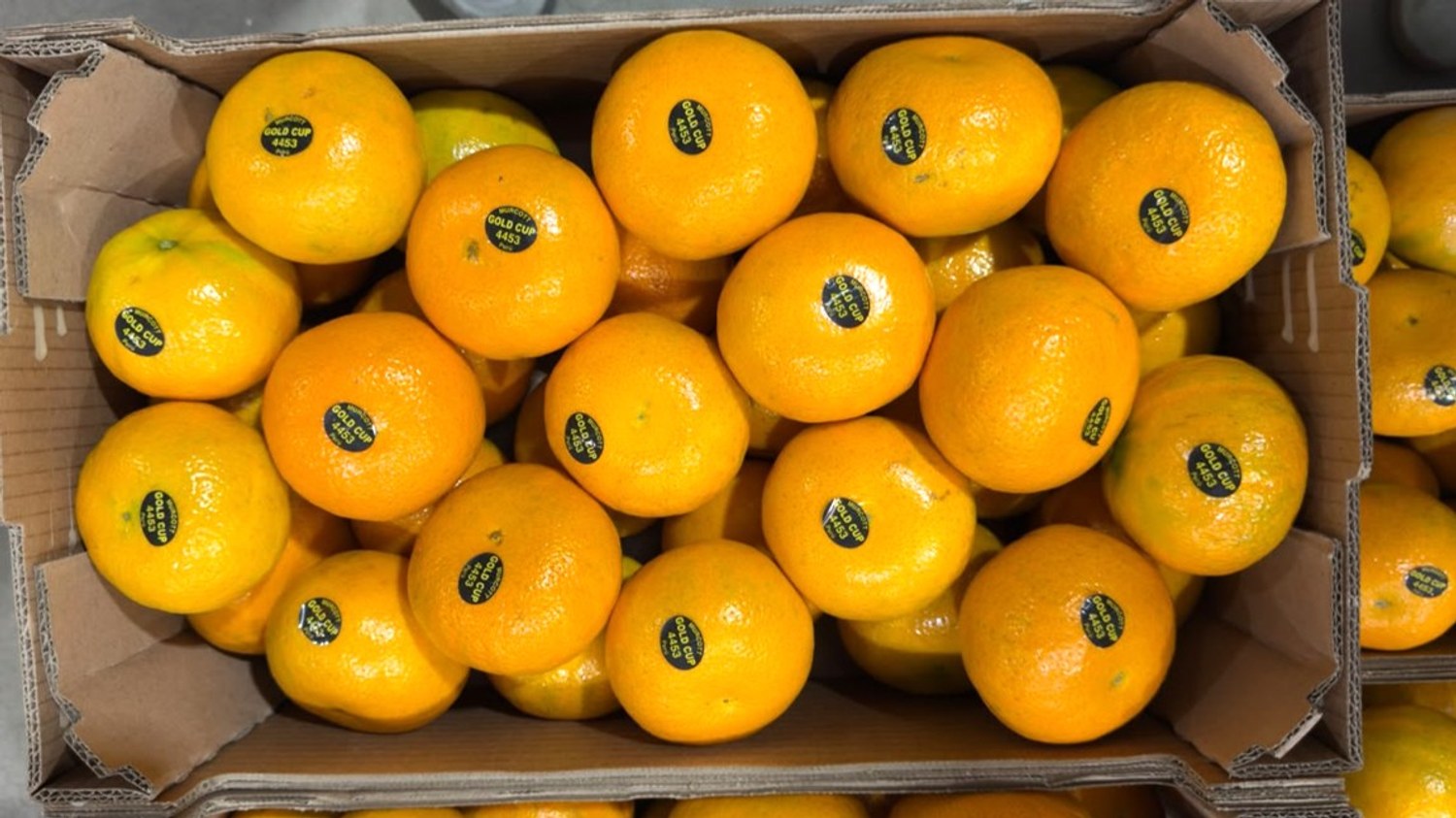 empaque de fruta