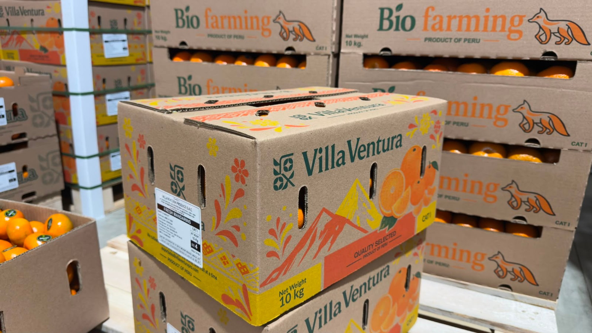 nuevo diseño de caja