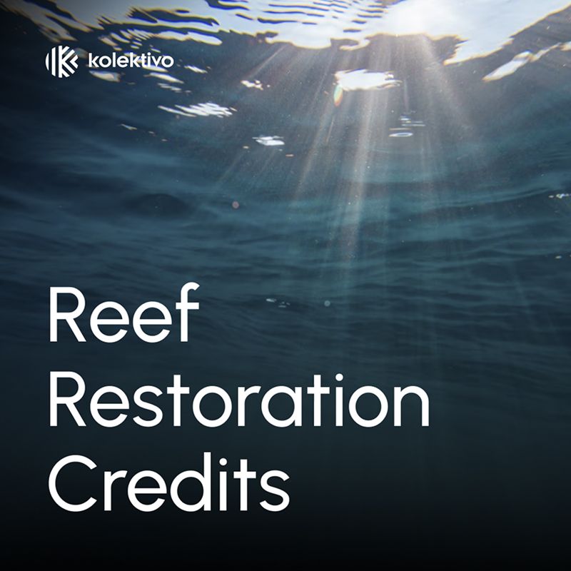 reef-restoration-credits
