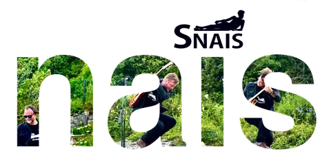 Snais