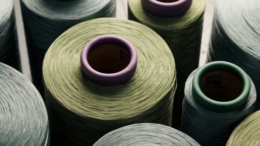 DISCOVERING BELA ROPE