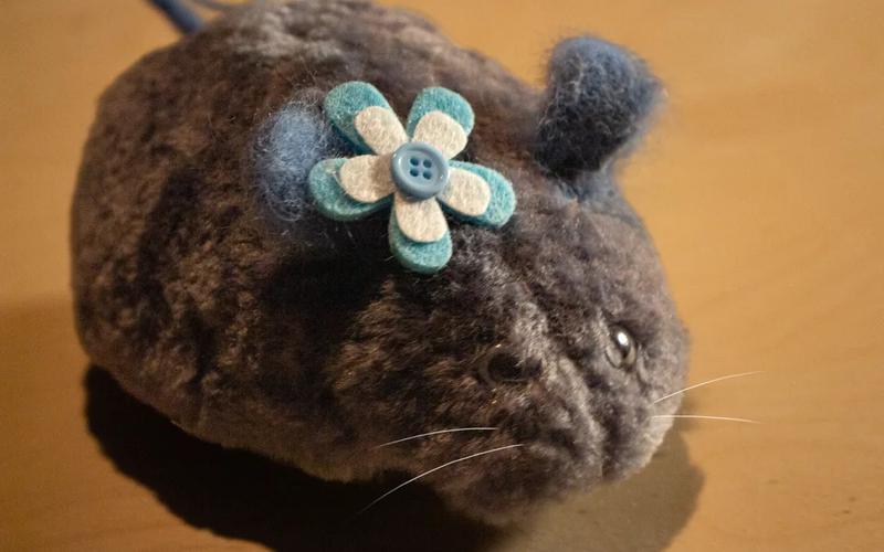 Play Safari: Comet RAT