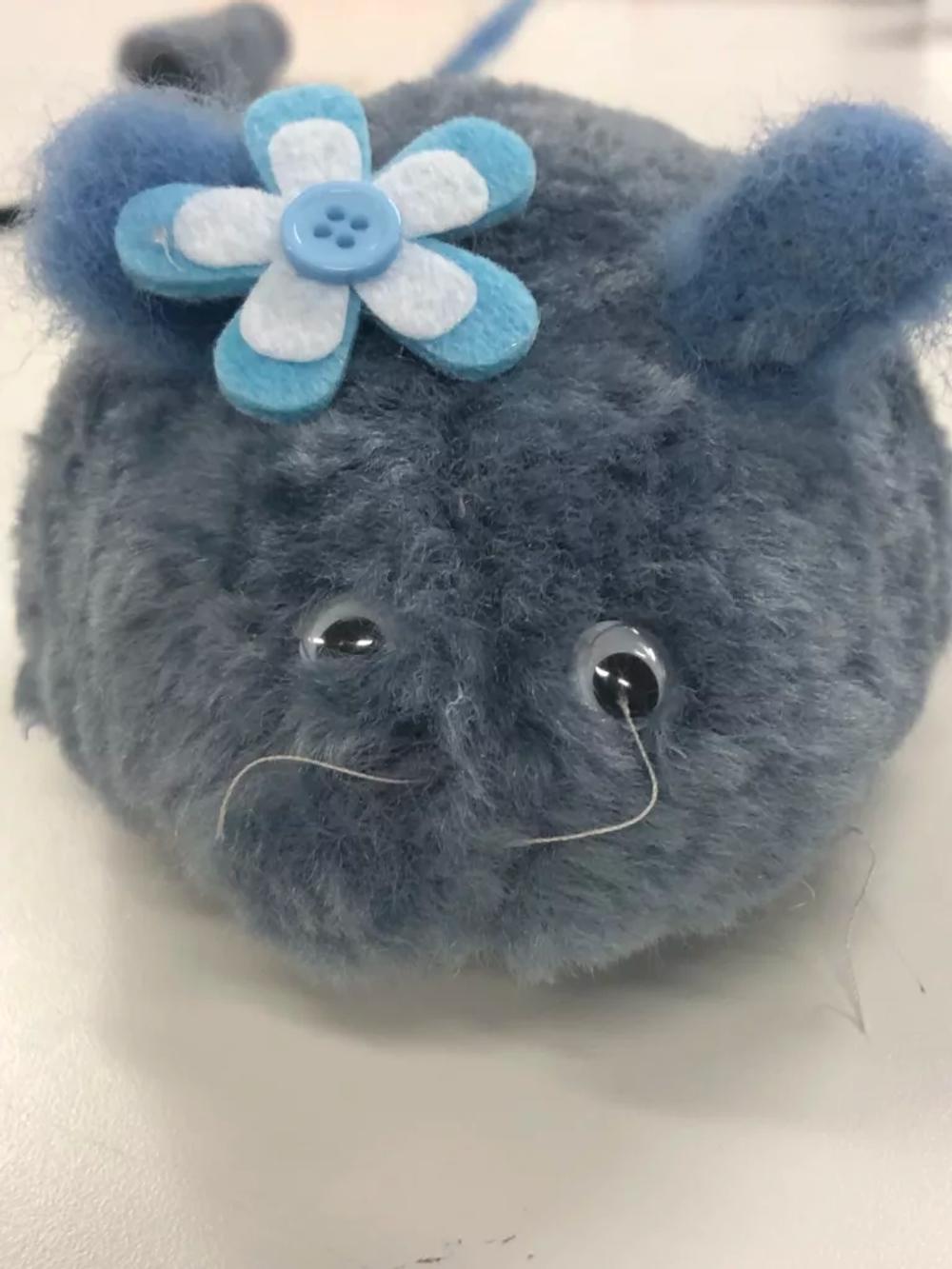 Reversed whiskers!
