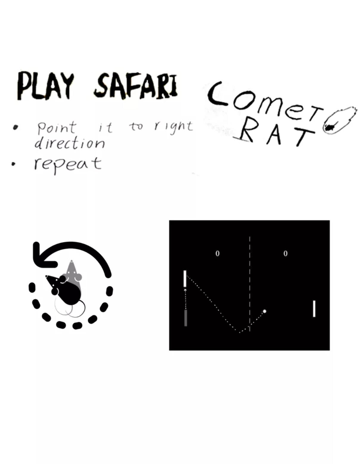 Play Safari Instructions