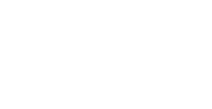 Natural Stoneworks logo