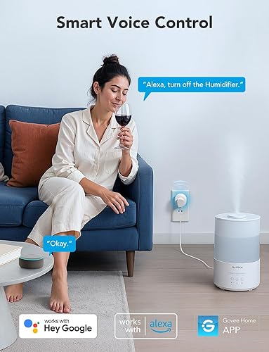 Govee Smart Plug Wi-Fi