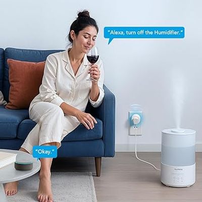 Govee Smart Plug Wi-Fi view 1
