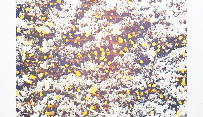 Grafikk av Dag Rødsand, Multemyr.