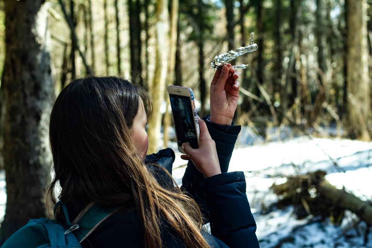 Jente tar bilde av en istapp