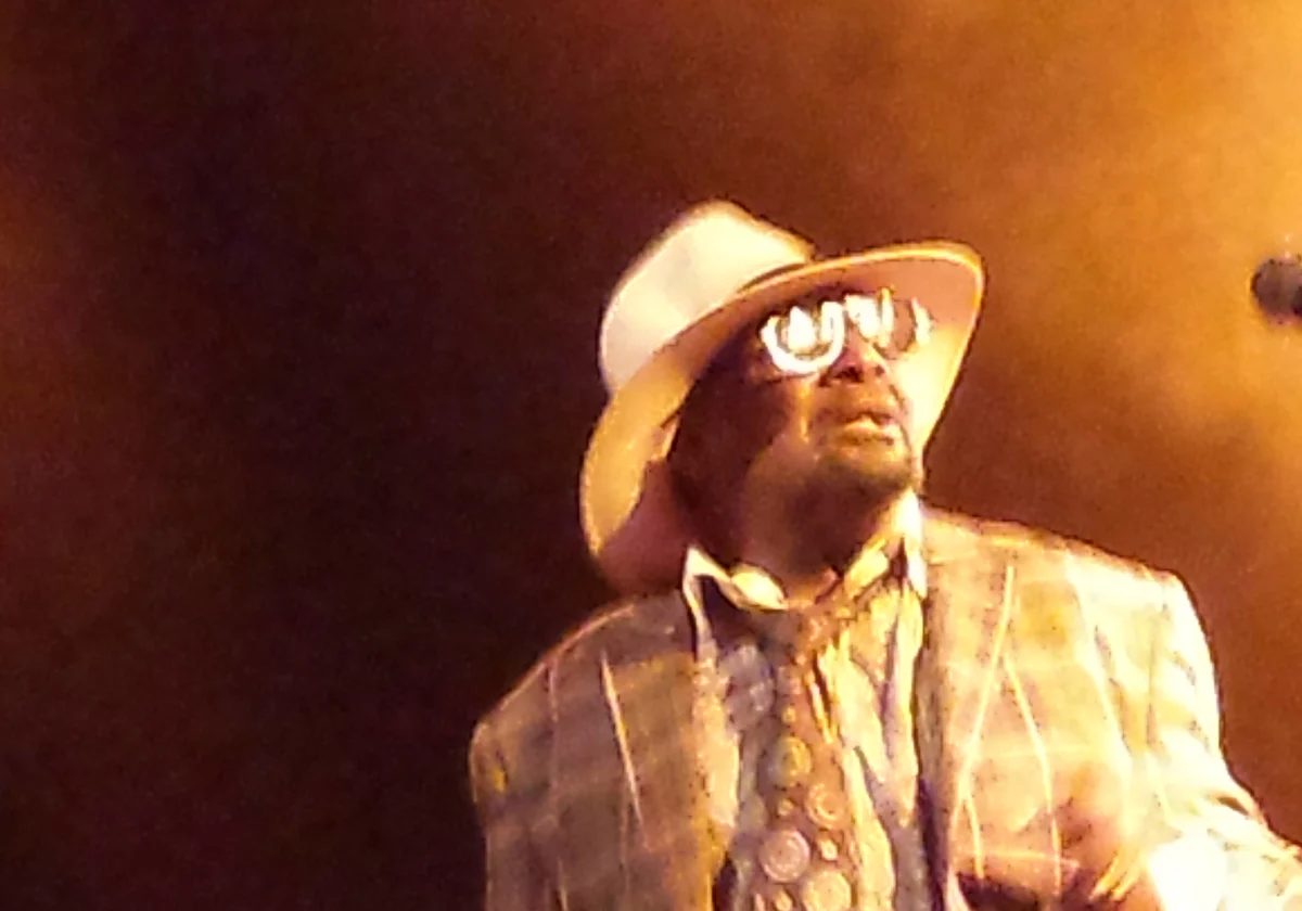 George Clinton performing in Auckland in 2015