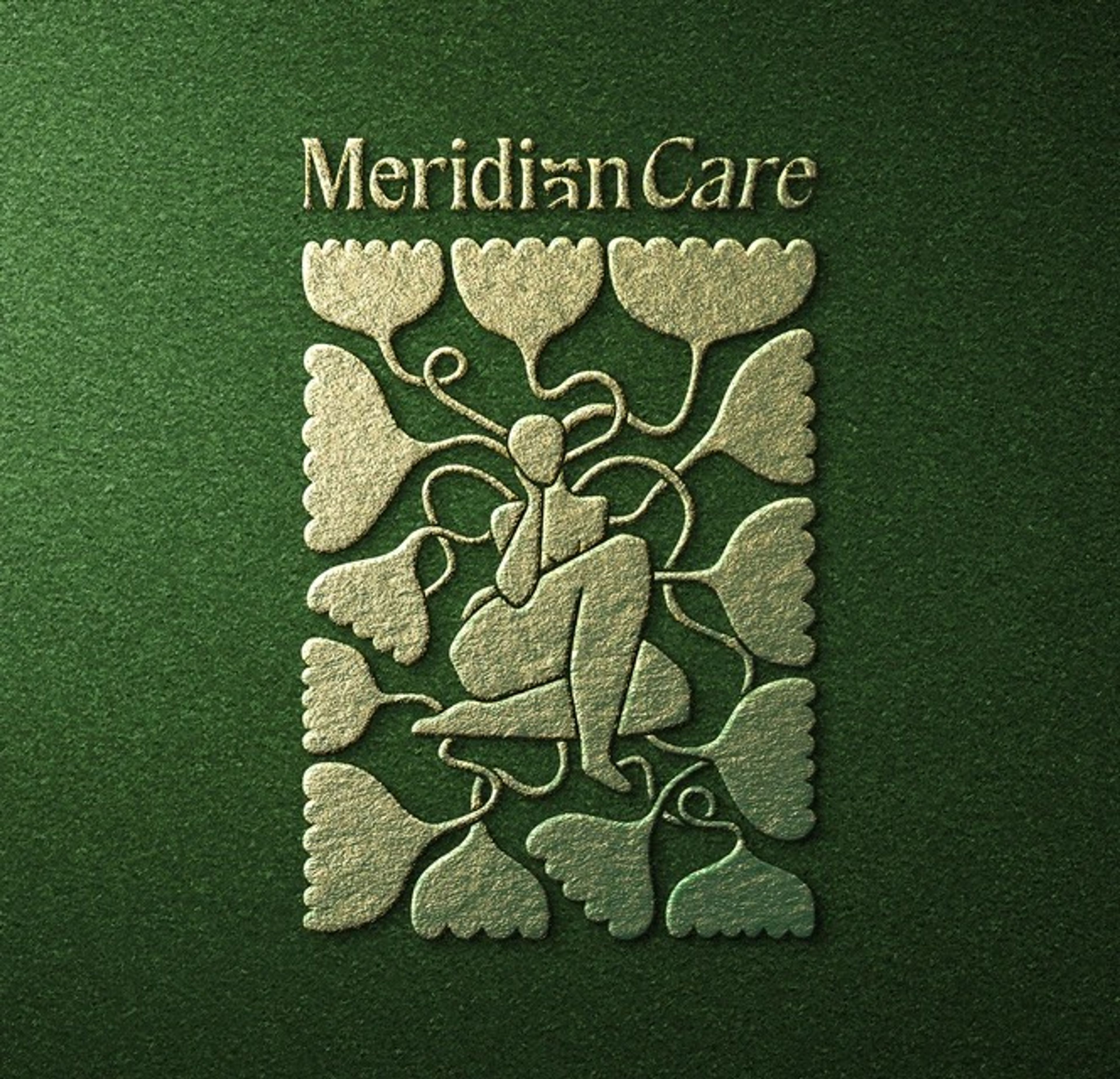 Embossed Meridian Care logo panel