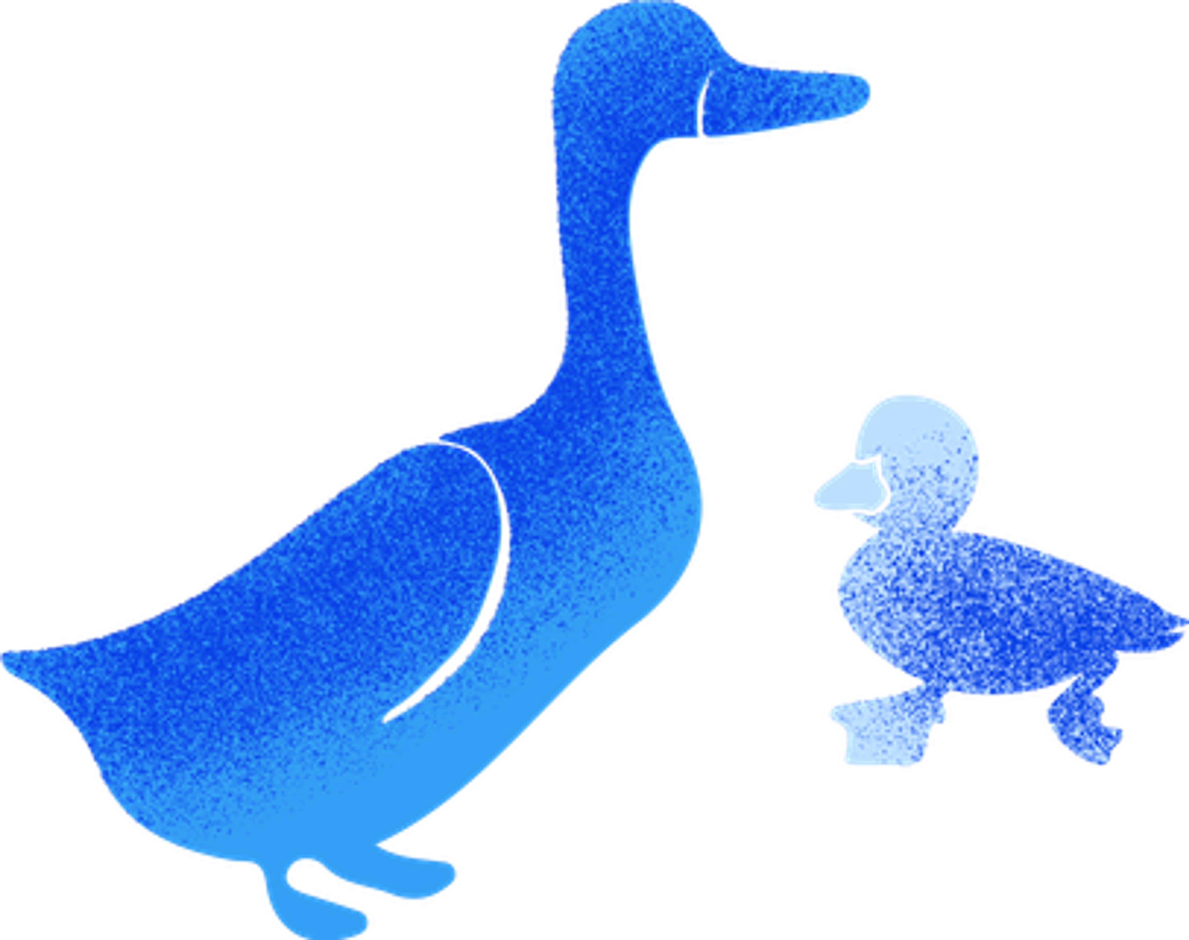 Watercolour duck illustration