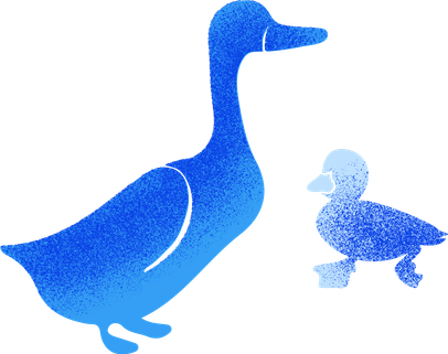 Watercolour duck illustration