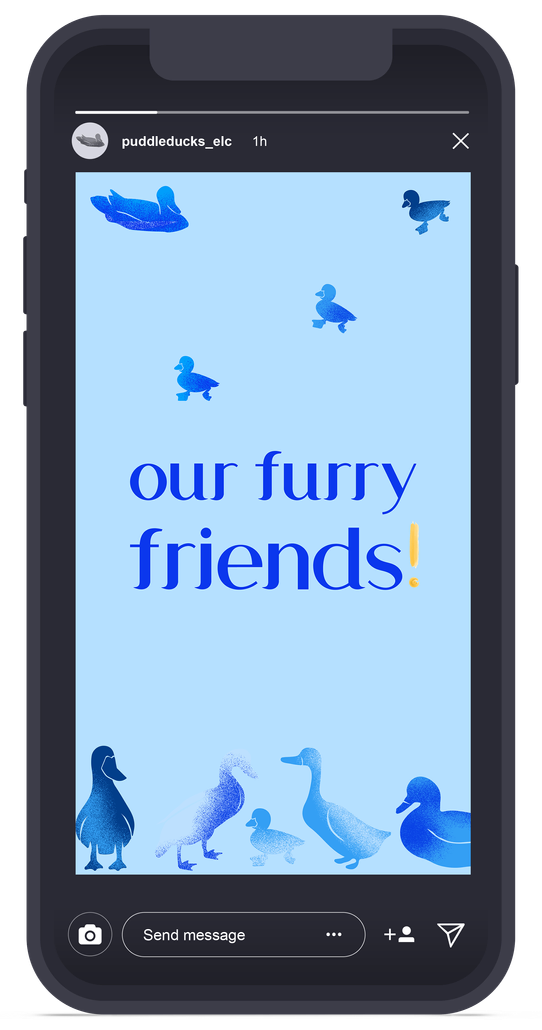 Instagram mockup — ‘our furry friends’