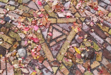 Bildunterschrift Platzhalter