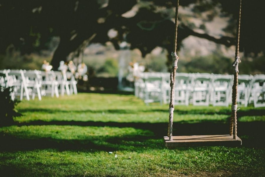 Rows of white chairs set out on a lawn under a large tree, with a rope swing in the foreground