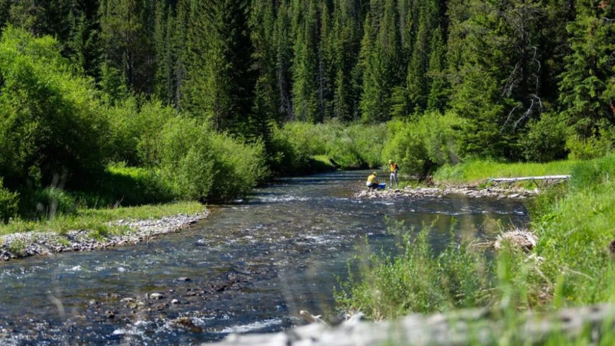 The Future of Mining Water Treatment – SAFER, AND SMARTER