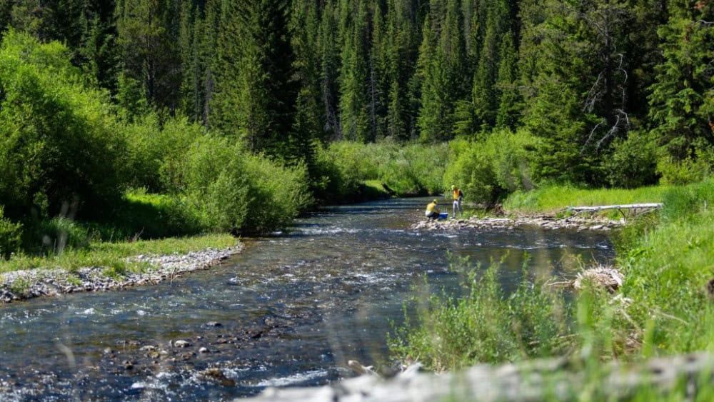 The Future of Mining Water Treatment – SAFER, AND SMARTER