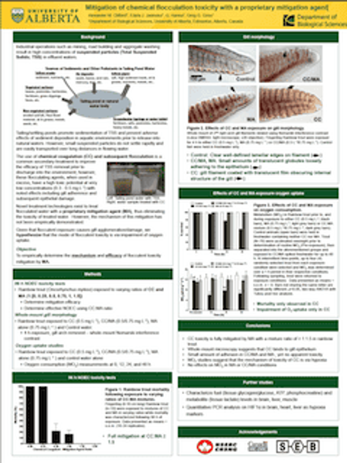 Clearflow news image
