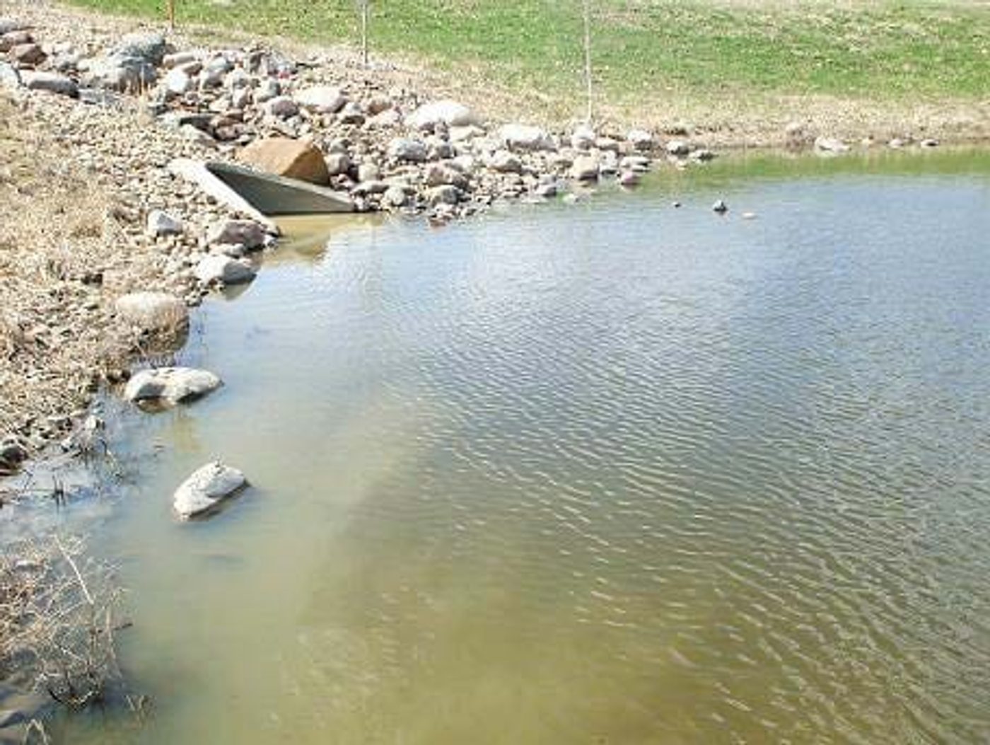 The stormwater pond inlet at Summerwood, lined with rip-rap
