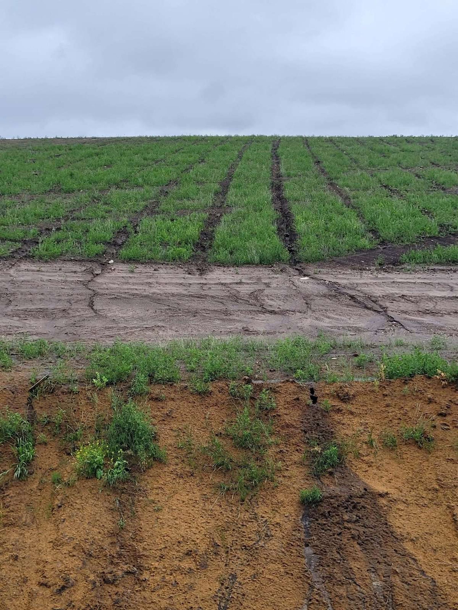 EROSION CONTROL NUTRIEN - ULTRABIND