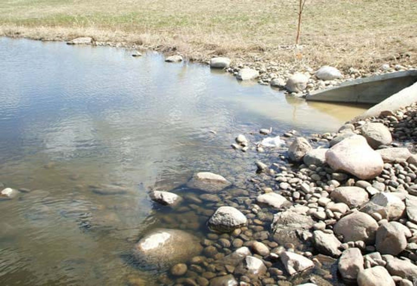 Clear water running over cobbles in the creek after treatment