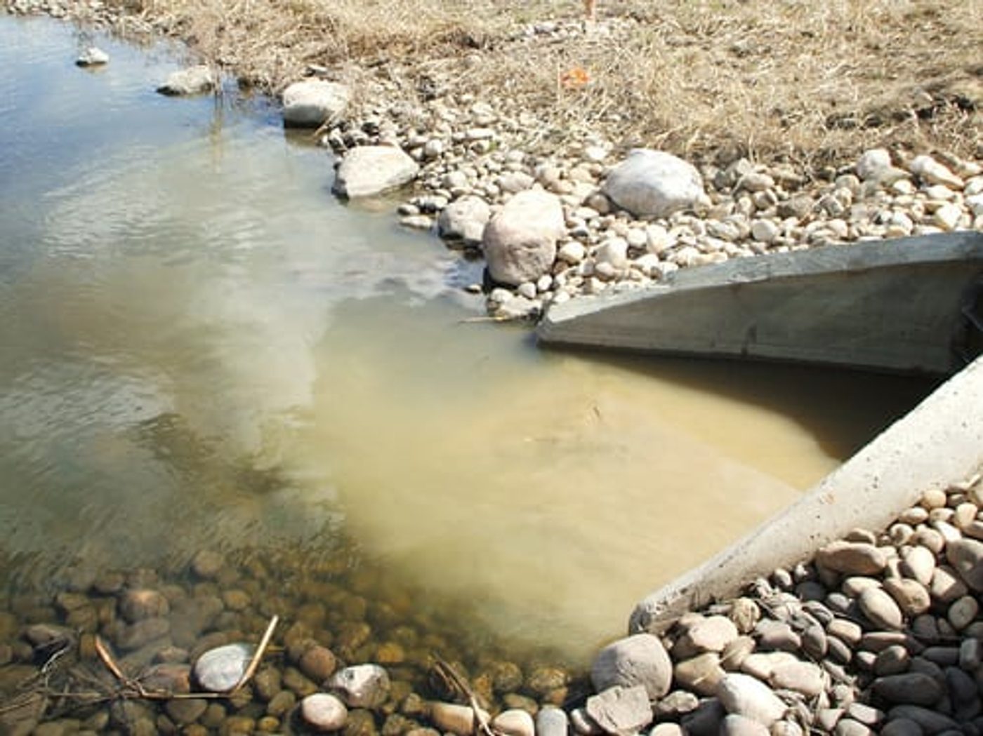 Sediment-laden stormwater discharging from a concrete culvert into the pond