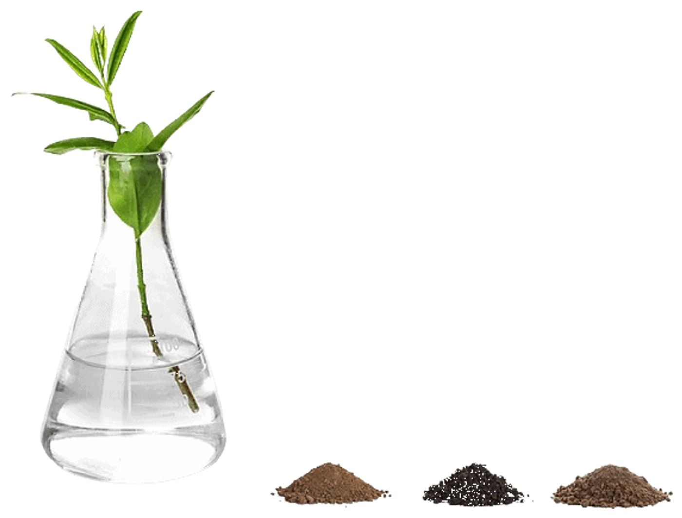 Clearflow lab flask with plant cutting beside Ultrabind granular samples