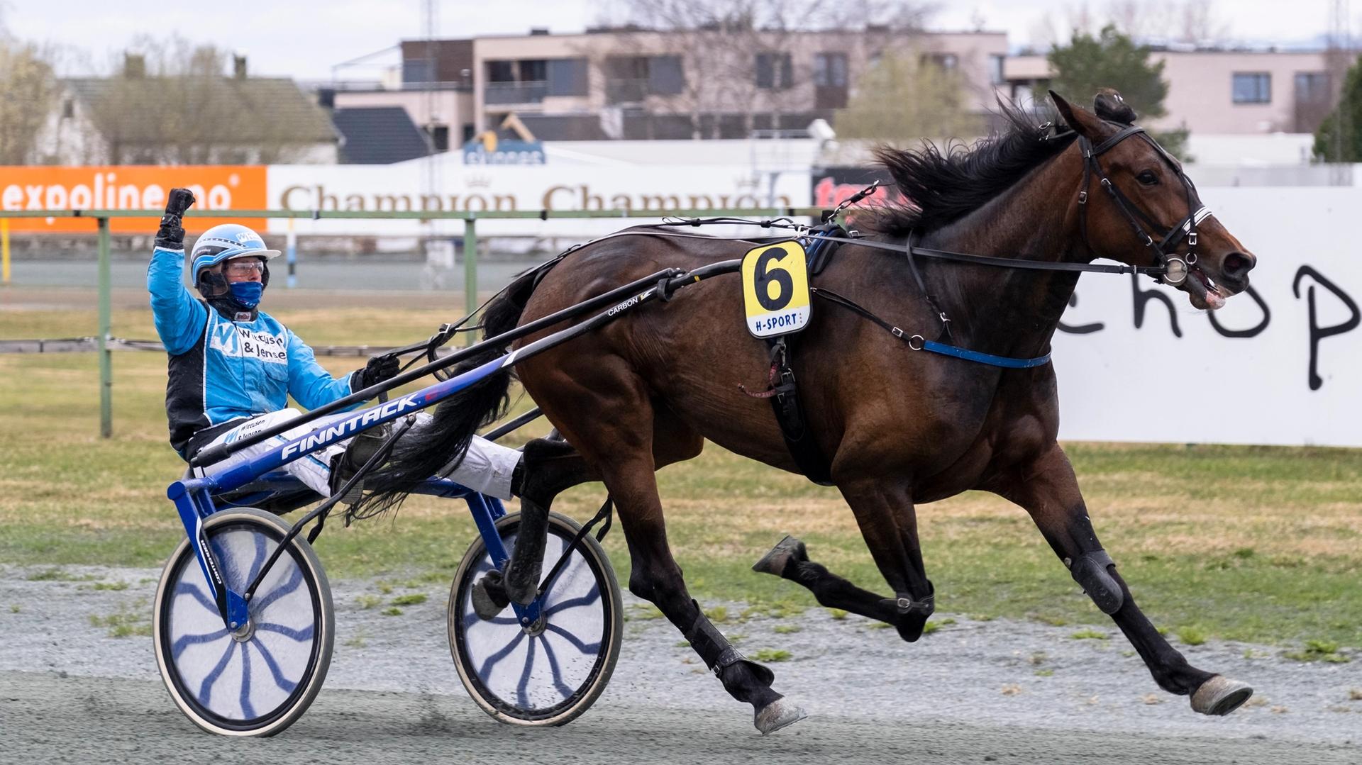 Sport, V75-trav | Se V75 direkte: Magnus har nøkkelen til jackpot-kronene