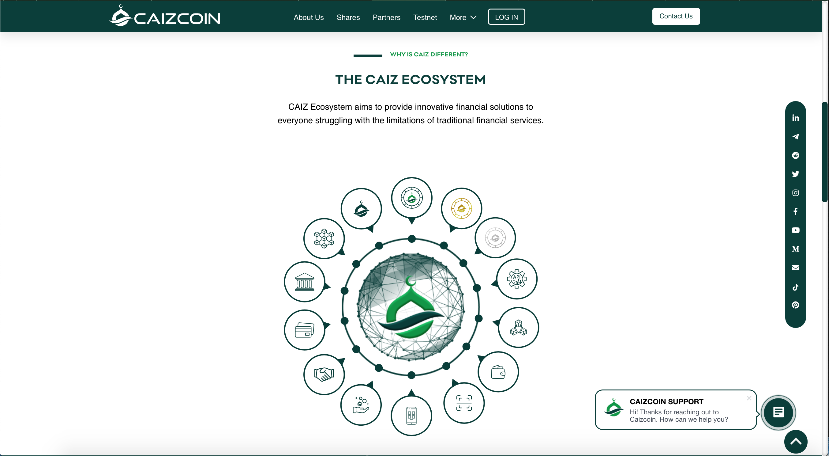 CAIZCOIN ecosystem as advertised on their website caizcoin.com. A screenshot by Vasily Sonkin