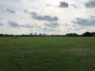 The Docklands viewed from Hackney Marshes