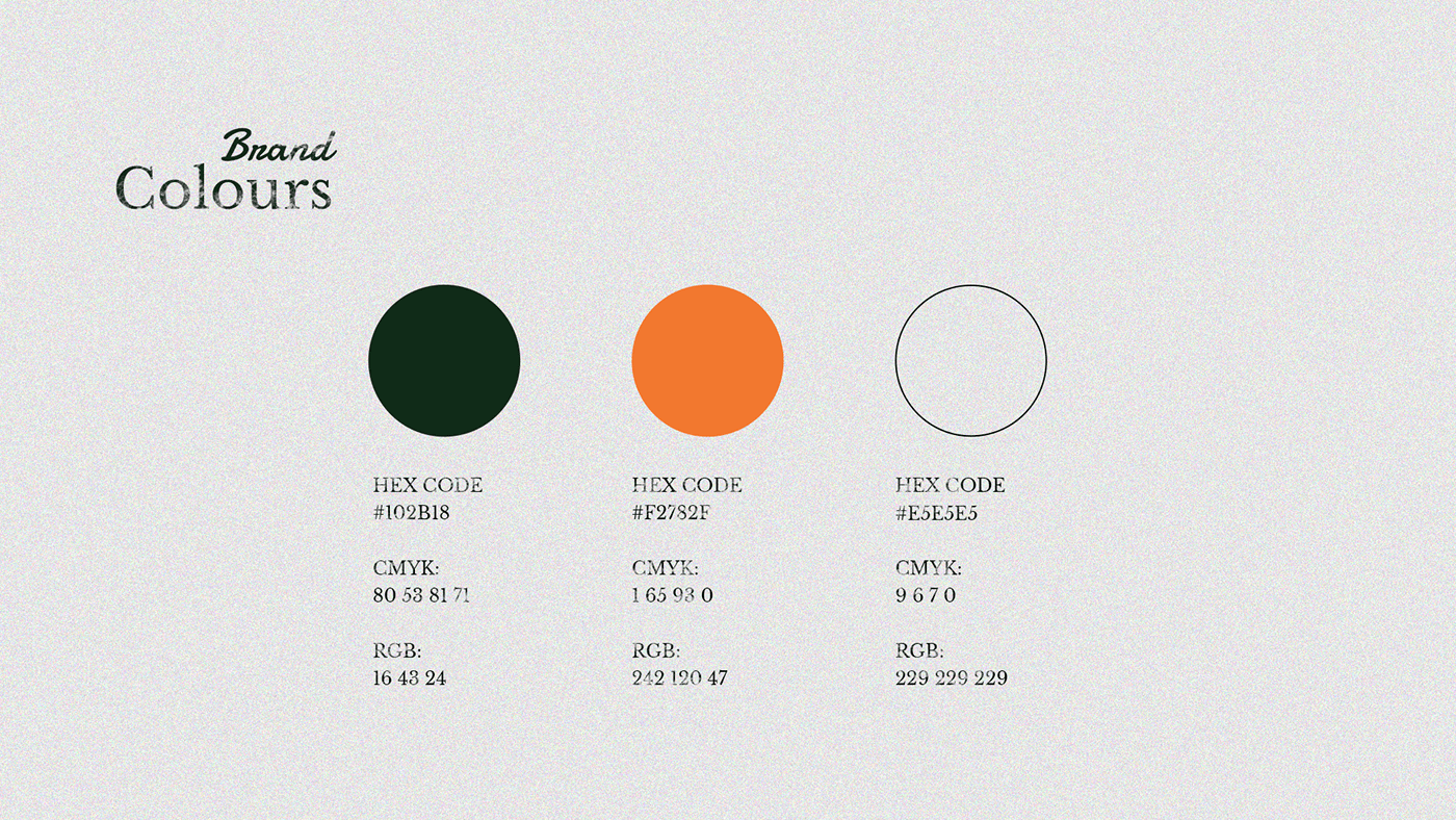 Travel Mitan brand colors: dark green, orange and soft white with hex, CMYK and RGB values