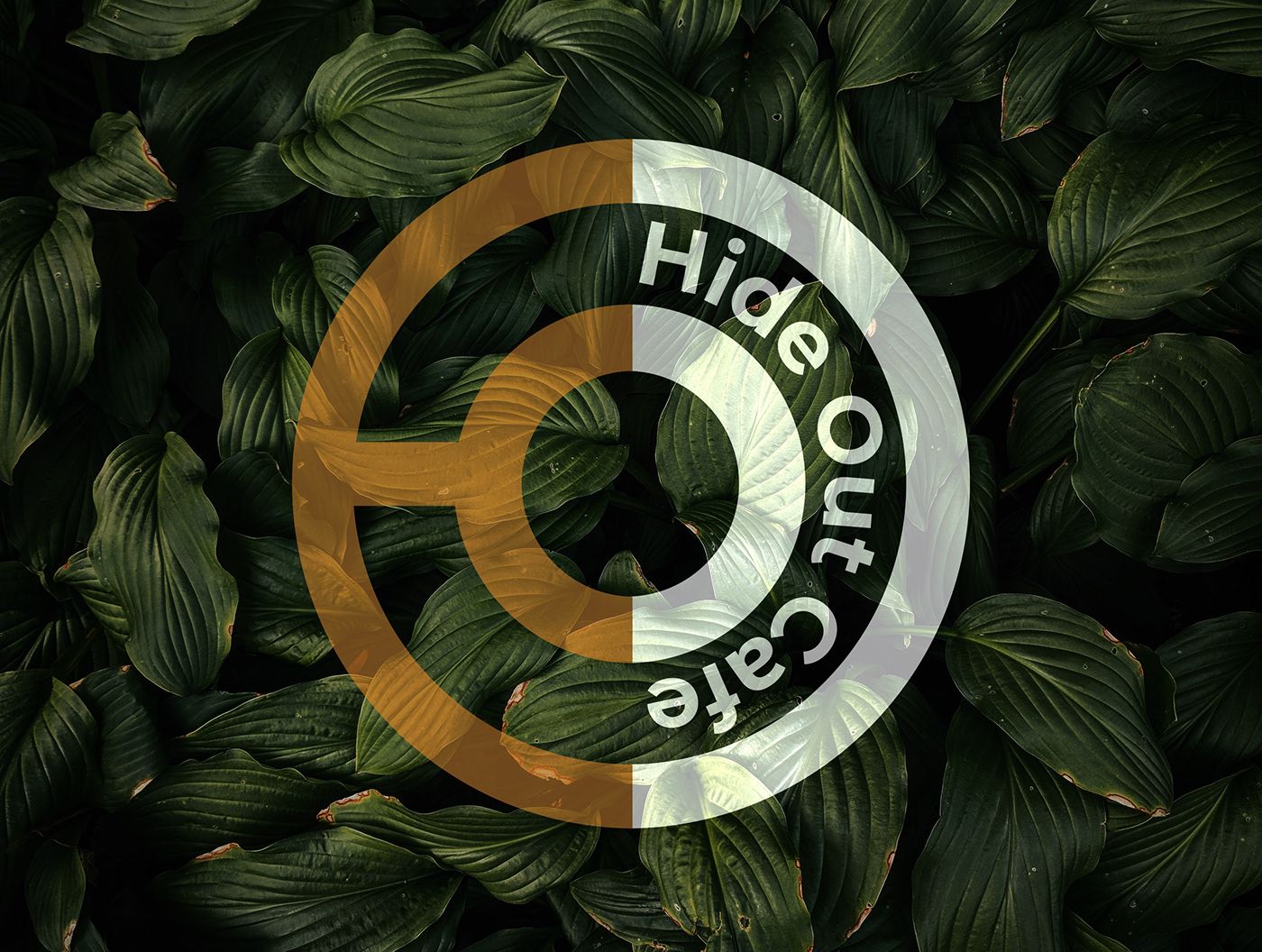 Large Hide Out Cafe logo overlaid on green leaves