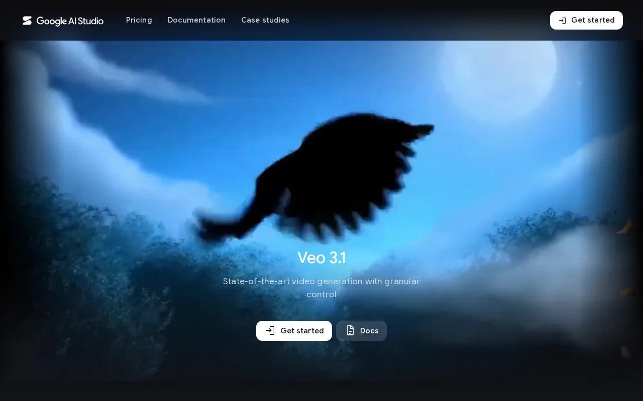 Screenshot of the Google Veo website