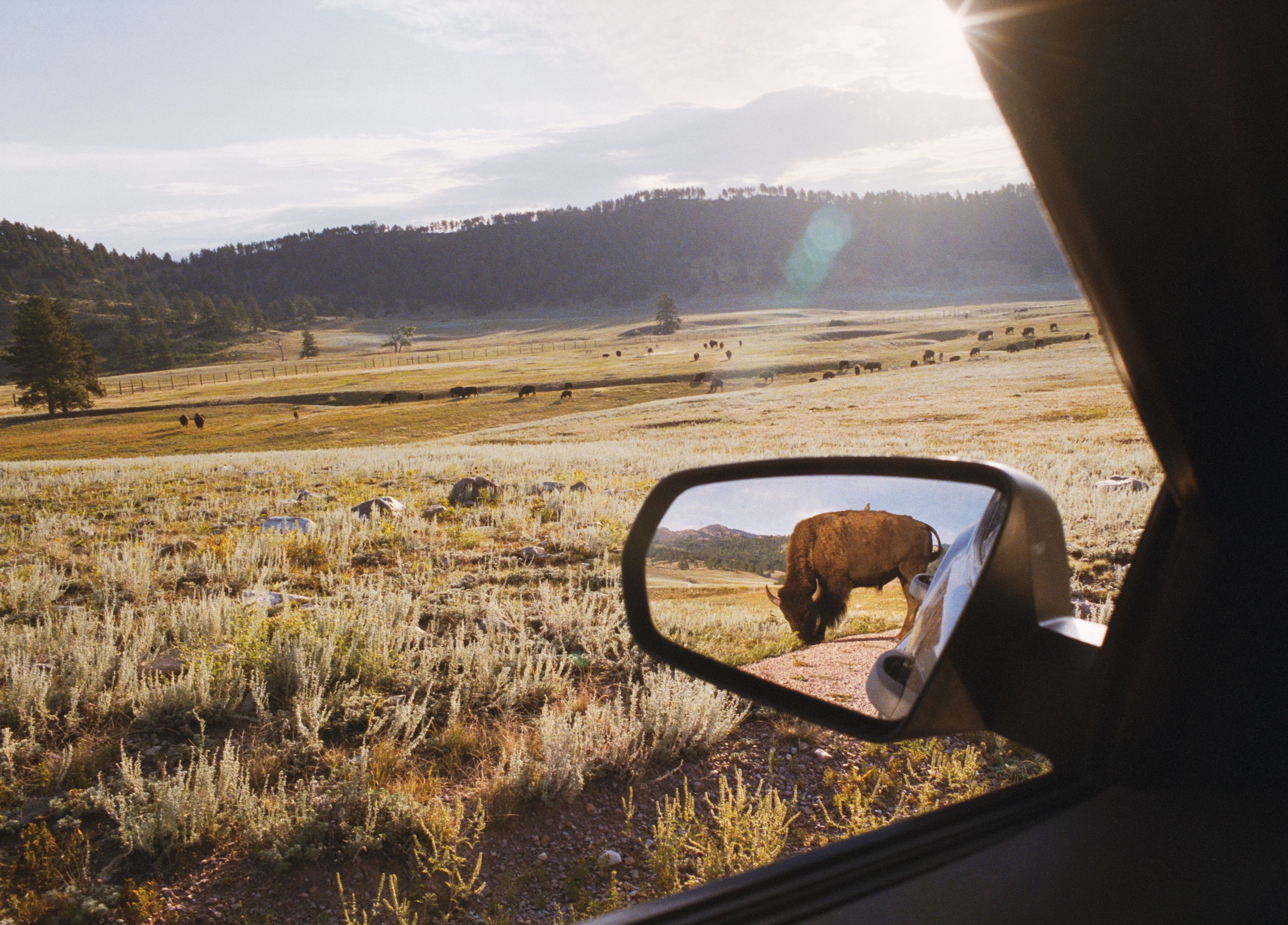 My Dakota — Alex Webb & Rebecca Norris Webb