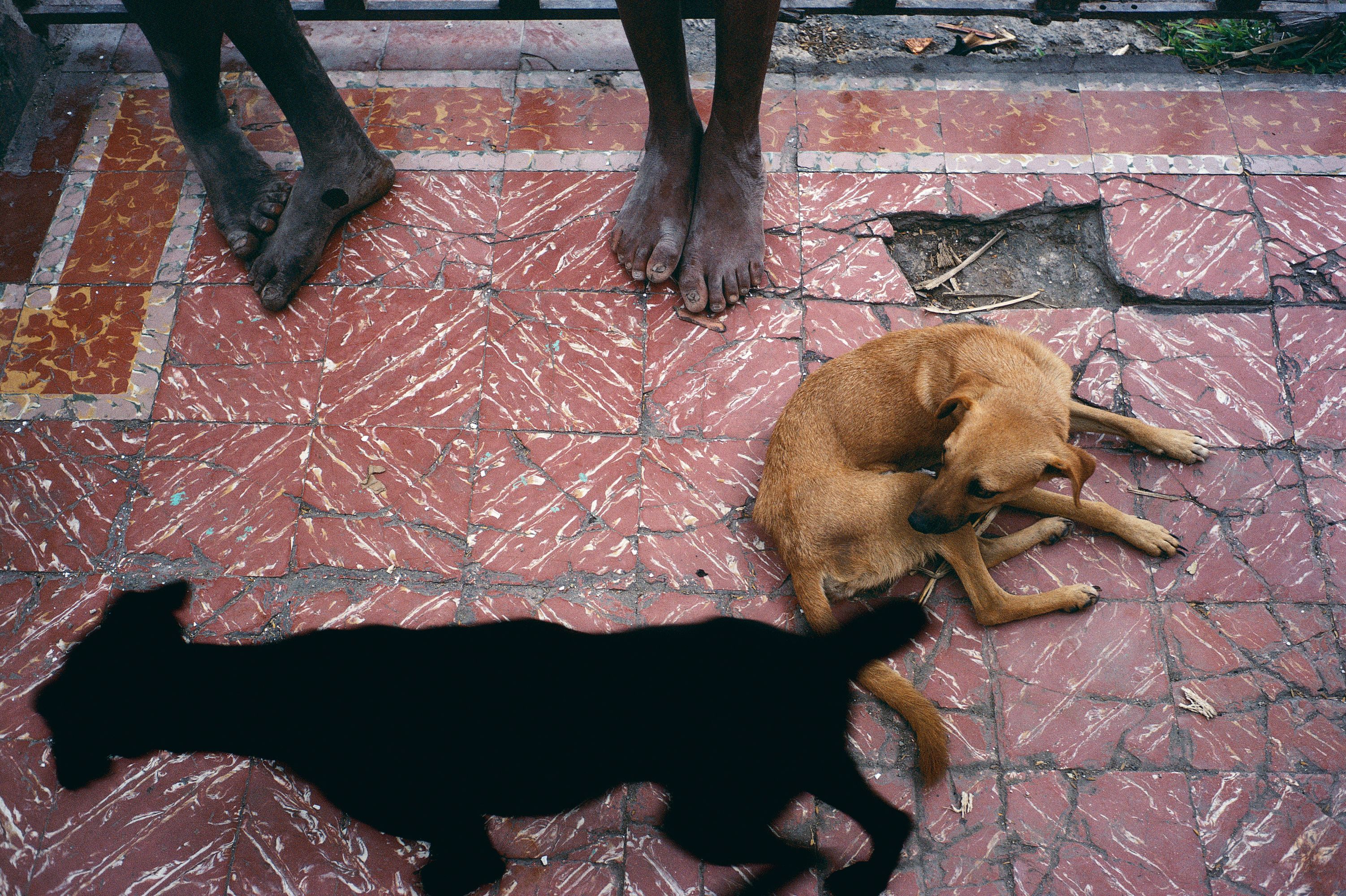 アート・デザイン・音楽 Alex Webb - Under A Grudging Sun Under a Grudging Sun — Alex Webb & Rebecca Norris Webb