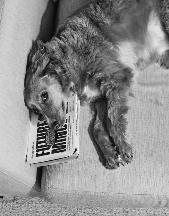 Altherr Desile Park Siwa Sofa Tables Product Design 08